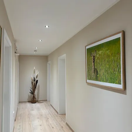 Apartment Wohnen Bei Frauschmitt Bad Konig